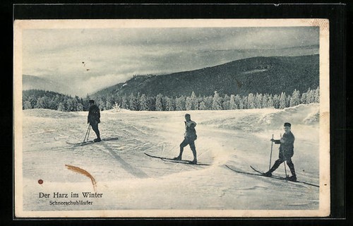 Ansichtskarte der harz - der, im