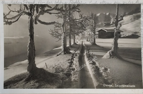 Davos ski promenade - davos, ski-promenade